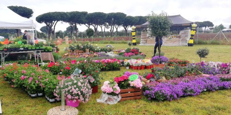 Latina: “Verde in festa”, 3-4-5 Maggio per elogiare la natura