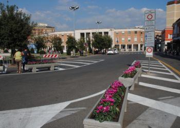 Latina: adotta una pianta in ztl, la proposta dei commercianti del centro