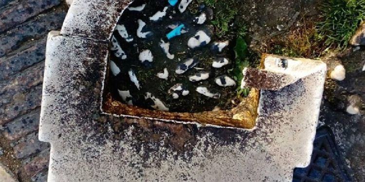 Vandali in azione a Latina, distrutta la storica fontanella di Piazza del Popolo FOTO