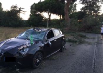 Latina, grosso ramo di pino cade su due auto in transito sulla Litoranea. Ferita una bimba