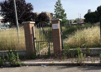 A Latina erba alta più di un metro: il parco giochi per bambini è off limits FOTO