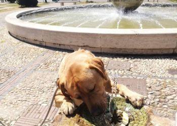 Nuova intensa e lunga ondata di caldo alle porte: previsti 40° a Latina e provincia