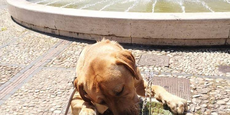 Nuova intensa e lunga ondata di caldo alle porte: previsti 40° a Latina e provincia