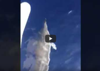 Spettacolo a Ponza, delfini giocano accanto a una barca VIDEO