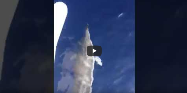 Spettacolo a Ponza, delfini giocano accanto a una barca VIDEO