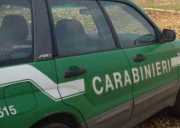 Operazione contro il traffico illecito di rifiuti in provincia di Latina, 23 indagati VIDEO