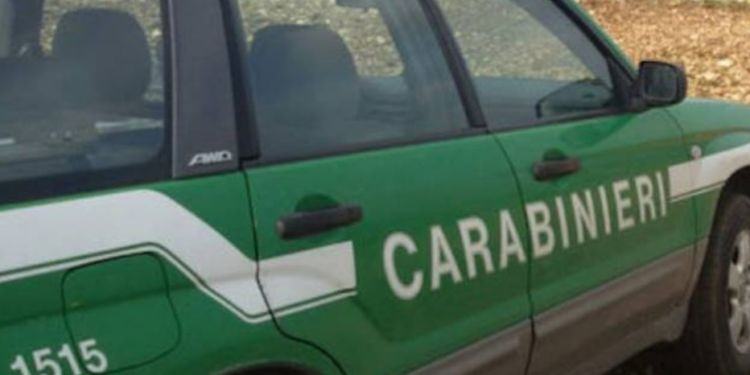 Operazione contro il traffico illecito di rifiuti in provincia di Latina, 23 indagati VIDEO