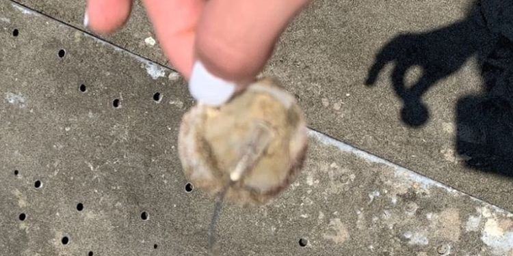 Siringhe usate in spiaggia, l’allarme al lido di Latina