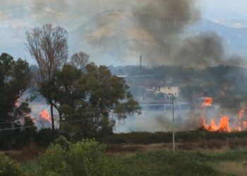 Latina “devastata” dagli incendi: oltre trenta interventi in tutta la provincia VIDEO