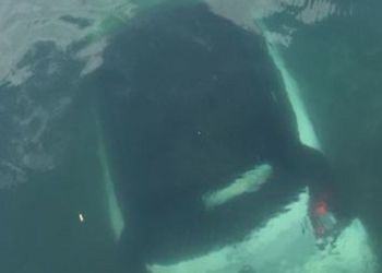 Incredibile in provincia di Latina: dimentica il freno a mano e l’auto finisce in mare