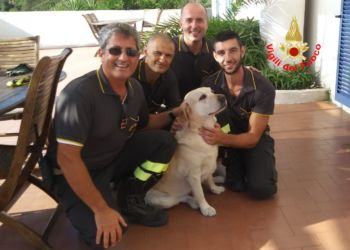 Labrador rimane bloccato su uno scoglio, salvato dai Vigili del fuoco di Latina