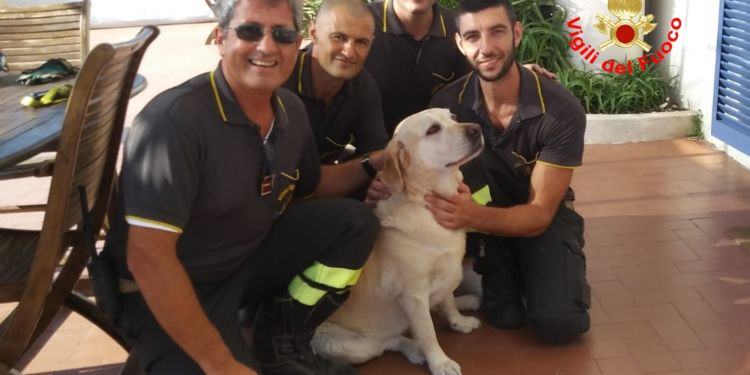 Labrador rimane bloccato su uno scoglio, salvato dai Vigili del fuoco di Latina