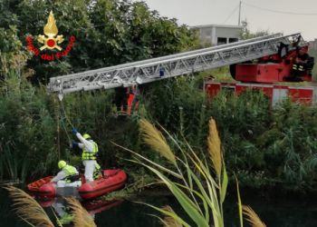Trovato cadavere in un canale a Terracina, il video dei Vigili del fuoco