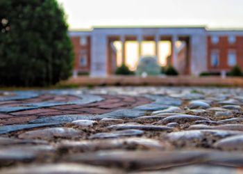 Latina, partiti i lavori di riqualificazione del giardino di piazza del Popolo: “Sarà come quello degli anni ’30”