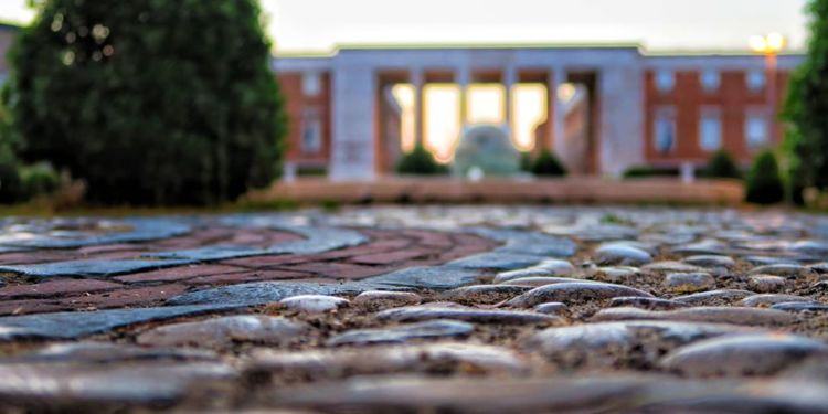 Latina, partiti i lavori di riqualificazione del giardino di piazza del Popolo: “Sarà come quello degli anni ’30”