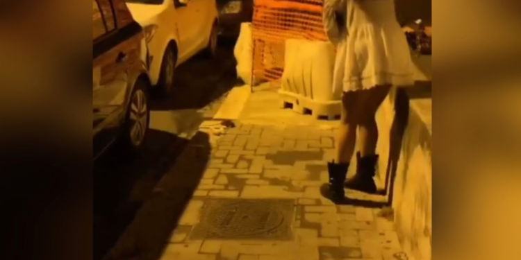 Nella zona pub di Latina i topi piovono dal cielo, il video di una lettrice