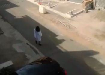 Samara Challenge, nuovo avvistamento in provincia di Latina. Il video di una lettrice