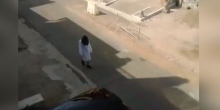 Samara Challenge, nuovo avvistamento in provincia di Latina. Il video di una lettrice