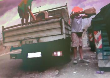 Latina, “zozzoni” inchiodati dalle fototrappole al Lido e a Borgo Sabotino