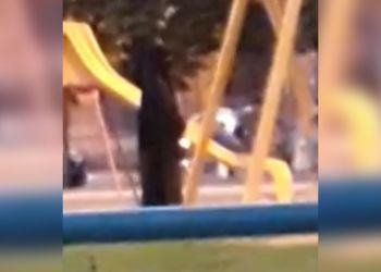 Donna in niqab(velo integrale) per strada a Latina, la denuncia: “Inaccettabile” VIDEO