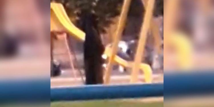 Donna in niqab(velo integrale) per strada a Latina, la denuncia: “Inaccettabile” VIDEO