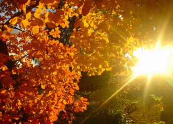 Ottobrata in arrivo a Latina e provincia: tanto sole e temperature che sfioreranno i 30 gradi