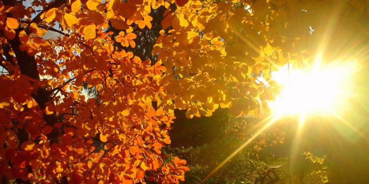 Ottobrata in arrivo a Latina e provincia: tanto sole e temperature che sfioreranno i 30 gradi