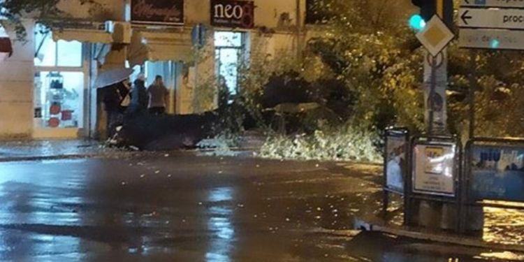 Maltempo, albero cade in centro a Latina e colpisce un’auto: illesi per miracolo VIDEO