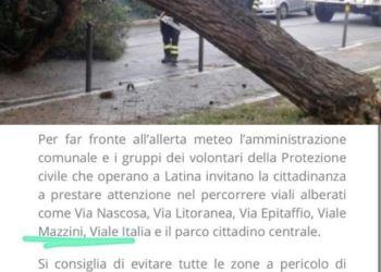 “Evitate i viali alberati di Latina”: ma è una fake news. Il Comune (forse) chiederà lo stato di calamità naturale