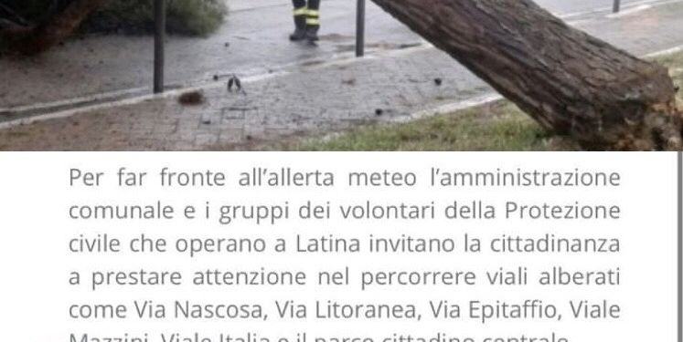 “Evitate i viali alberati di Latina”: ma è una fake news. Il Comune (forse) chiederà lo stato di calamità naturale
