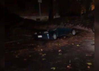 Paura nella notte in centro a Latina: gigantesco pino crolla in strada e colpisce auto VIDEO