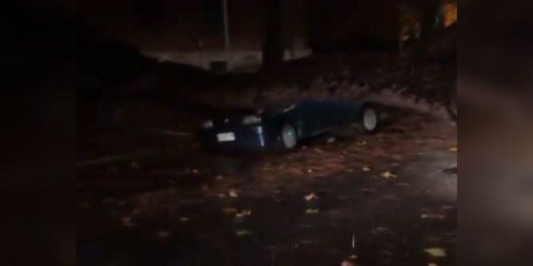Paura nella notte in centro a Latina: gigantesco pino crolla in strada e colpisce auto VIDEO