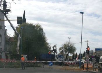 Maltempo, alberi a rischio in via Volturno a Latina: scatta l’abbattimento