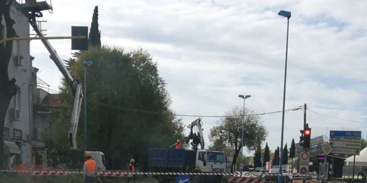 Maltempo, alberi a rischio in via Volturno a Latina: scatta l’abbattimento