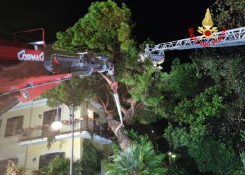 Maltempo, decine di interventi dei vigili del fuoco: albero cade su una casa a Terracina