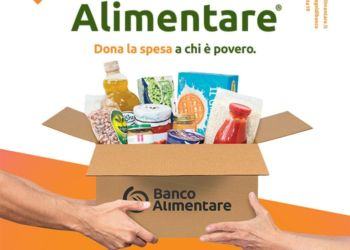 Colletta Alimentare 2019. Condividere i bisogni per condividere il senso della vita