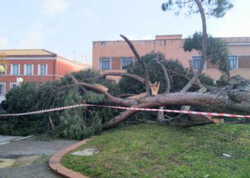 Bufera di vento a Latina, feriti tre agenti della Polizia locale ed un motociclista