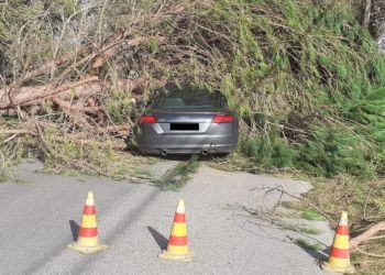 Il vento devasta Latina, Coletta: “Ridurre al minimo gli spostamenti”