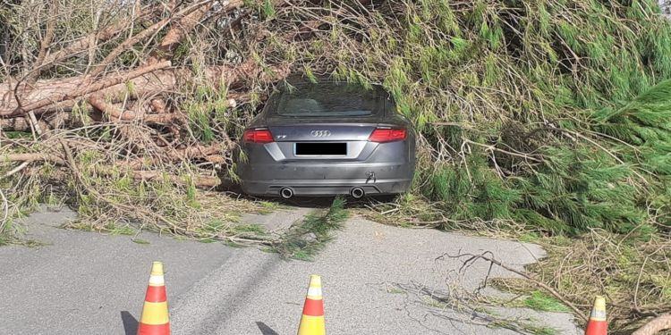 Il vento devasta Latina, Coletta: “Ridurre al minimo gli spostamenti”