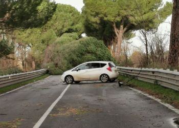 Tempesta di vento a Latina e provincia, raffiche oltre i 100 km/h: strage di alberi e blackout VIDEO
