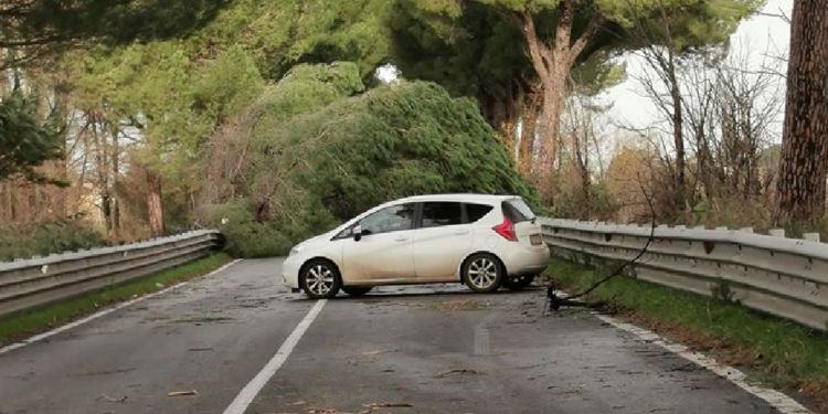 Tempesta di vento a Latina e provincia, raffiche oltre i 100 km/h: strage di alberi e blackout VIDEO