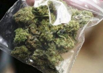 Spaccio di marijuana in provincia di Latina, sequestrati 5 chili e arrestate due persone