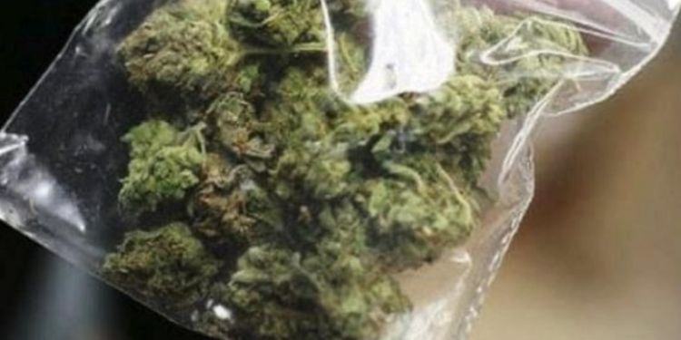 Spaccio di marijuana in provincia di Latina, sequestrati 5 chili e arrestate due persone