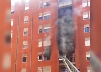 Cisterna, tre cani muoiono nell’incendio di un appartamento VIDEO