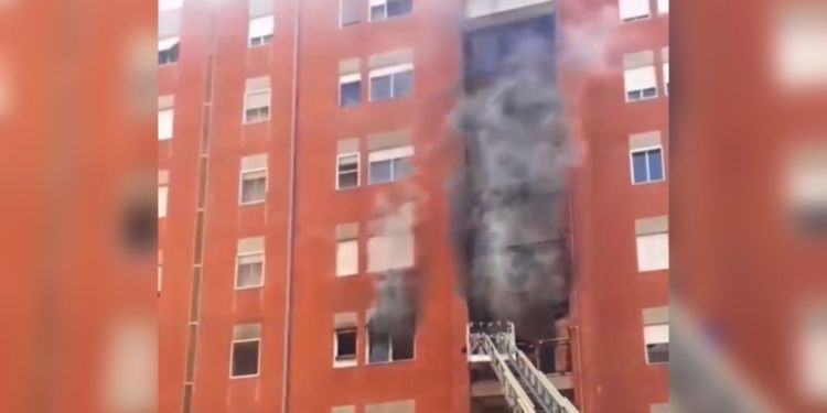 Cisterna, tre cani muoiono nell’incendio di un appartamento VIDEO