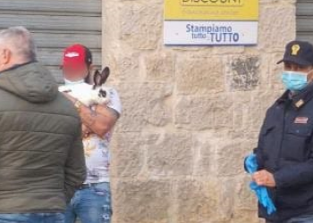 Coronavirus, in provincia di Latina pur di uscire si porta a “spasso” il coniglio