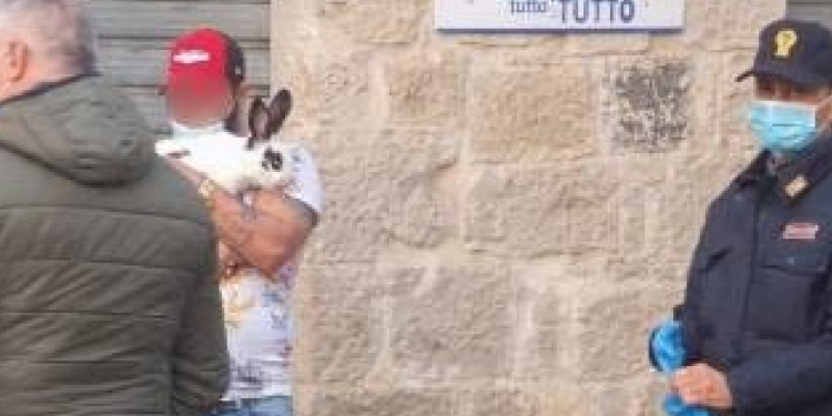 Coronavirus, in provincia di Latina pur di uscire si porta a “spasso” il coniglio