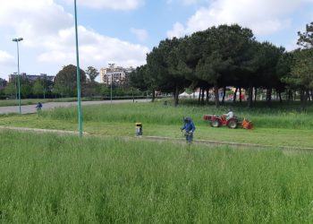 Erba alta a Latina, al via il taglio del verde pubblico. Ecco dove si sta lavorando