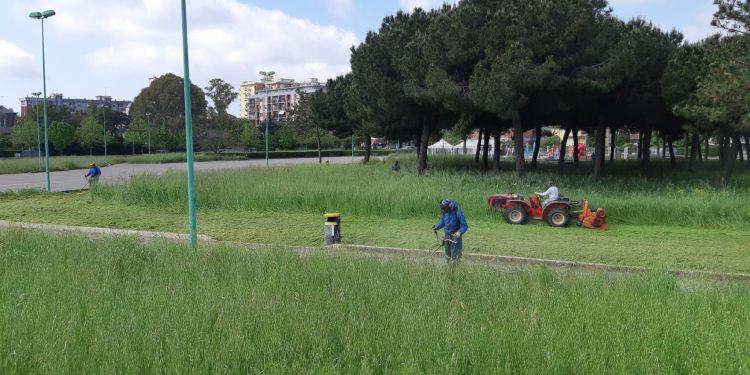 Erba alta a Latina, al via il taglio del verde pubblico. Ecco dove si sta lavorando