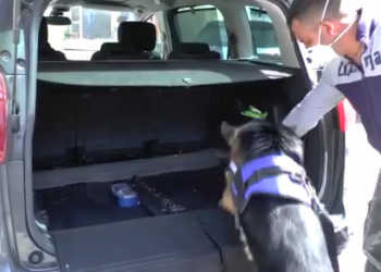 Latina, insospettabili trovati con l’auto piena di droga. Ecco il video della Polizia